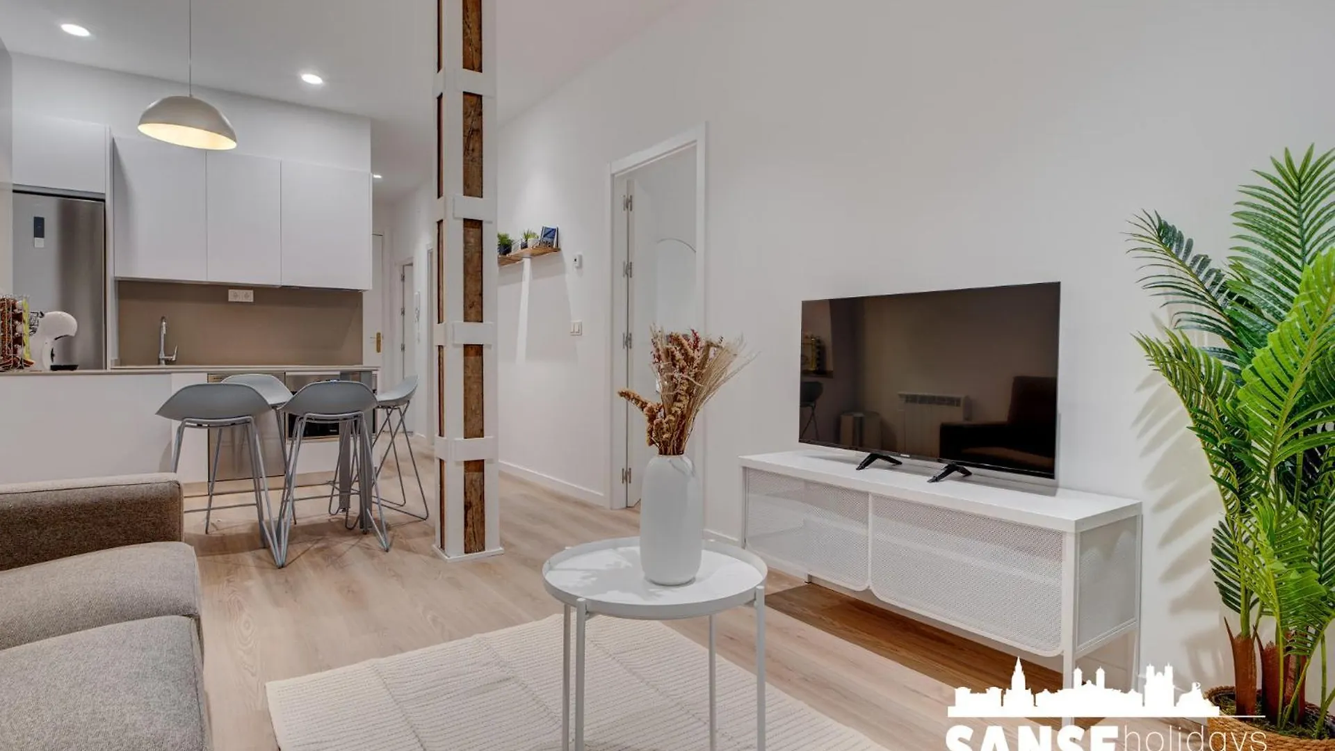 Apartamentos Salud By Sanse Holidays San Sebastian 0*,  Spain